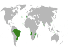 Citizenship by Special Association: Israel and Certain Portuguese Colonies Citizenship by Special Association: Israel and Certain Portuguese Colonies