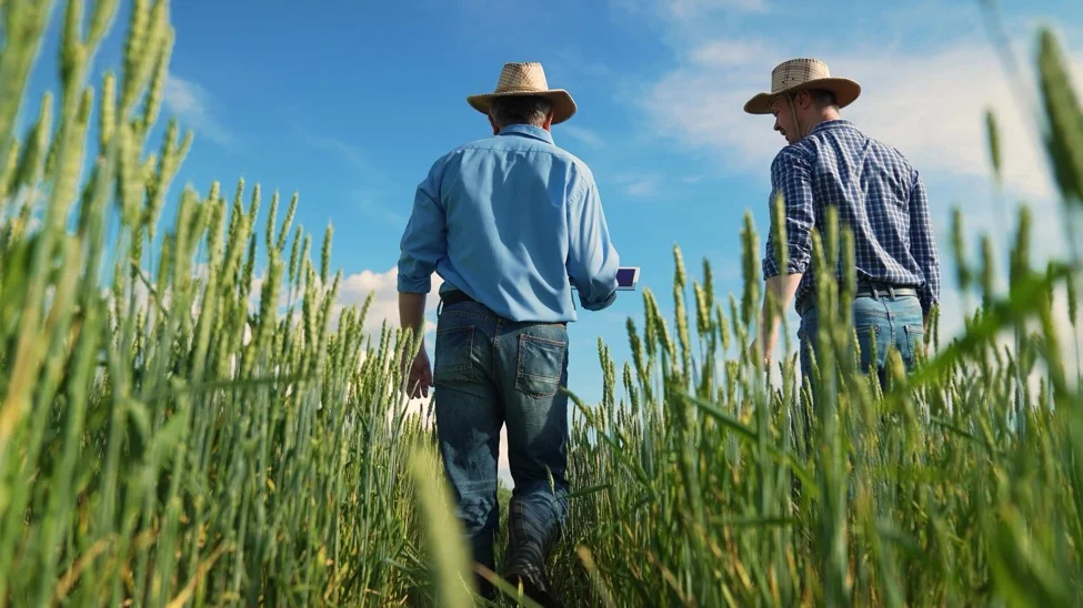 Agriculture and Commodities Industry Practice