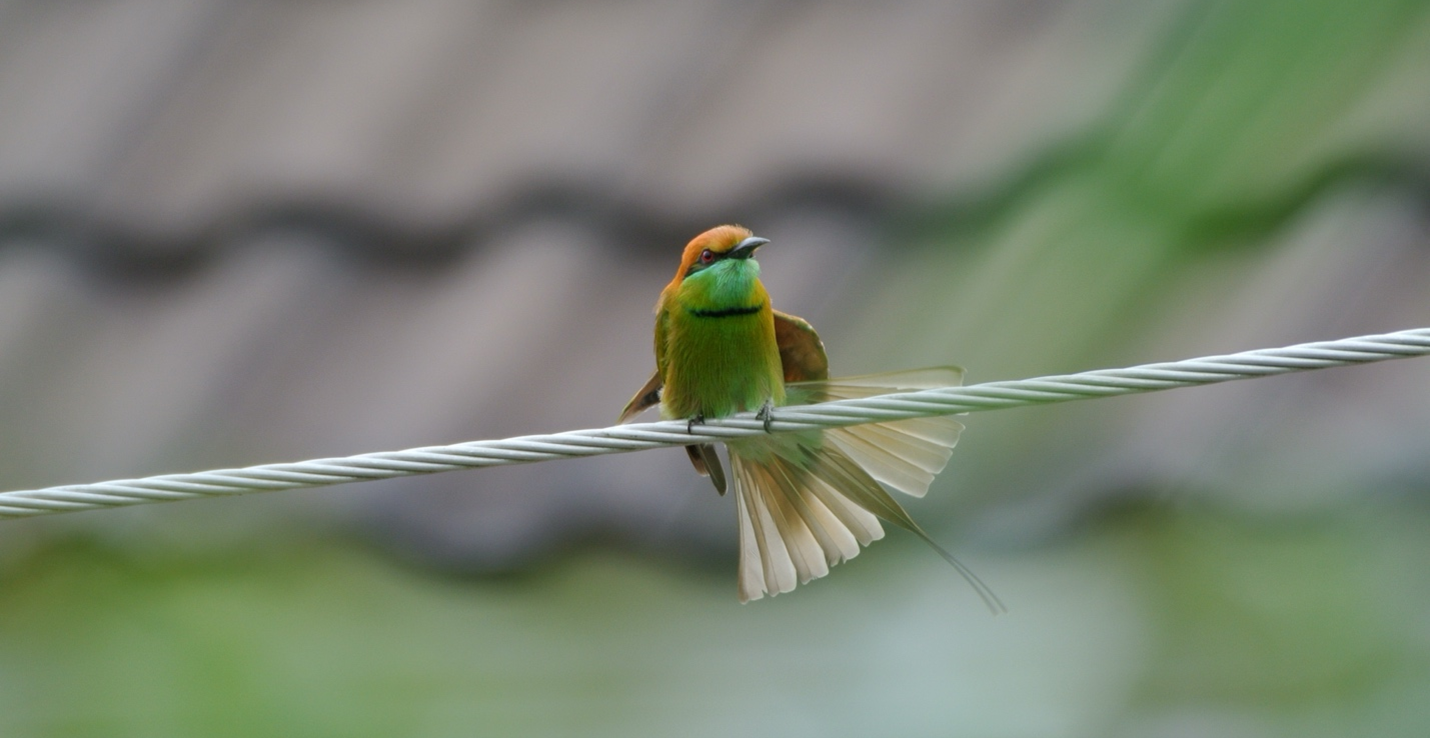 Complete Guide for Form I-140