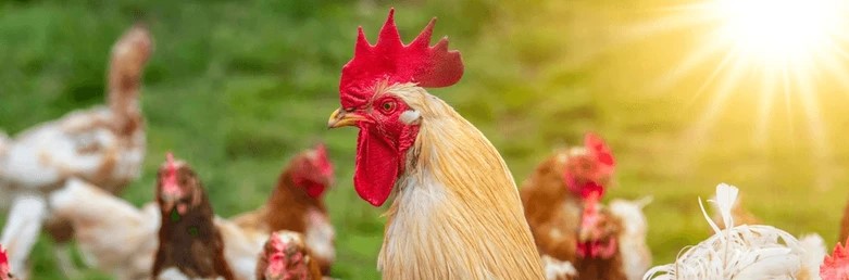 Complete Guide for Form I-829