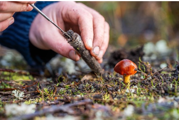 Melbourne bioscience business transfers technology to USA for E-2 visa