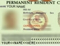 Work-based Green Card & Residency visa for USA