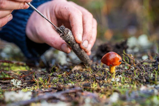 Melbourne bioscience business transfers technology to USA for E-2 visa